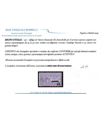 REGNO D'ITALIA - 1903 / 17 - ESPRESSI c. 25 e urgente c. 40 sovrastampato c. 25 con certificati
