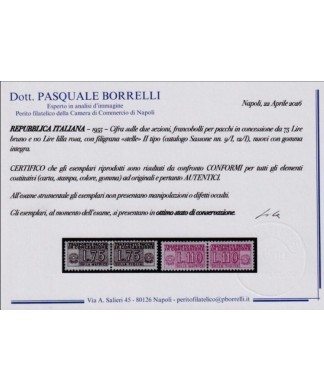 Repubblica - 1955 - /81 - PACCHI IN CONCESSIONE con filigrana STELLE