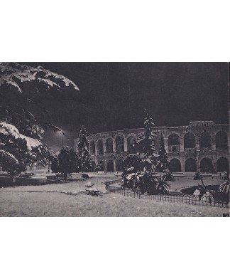 1950 Baccanale del Papa del Gnocco (Verona) – Gemelli