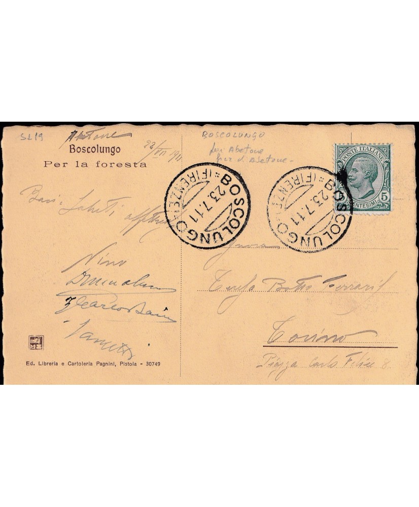 1911 Boscolungo (Firenze) - Annullo a cerchio su cartolina